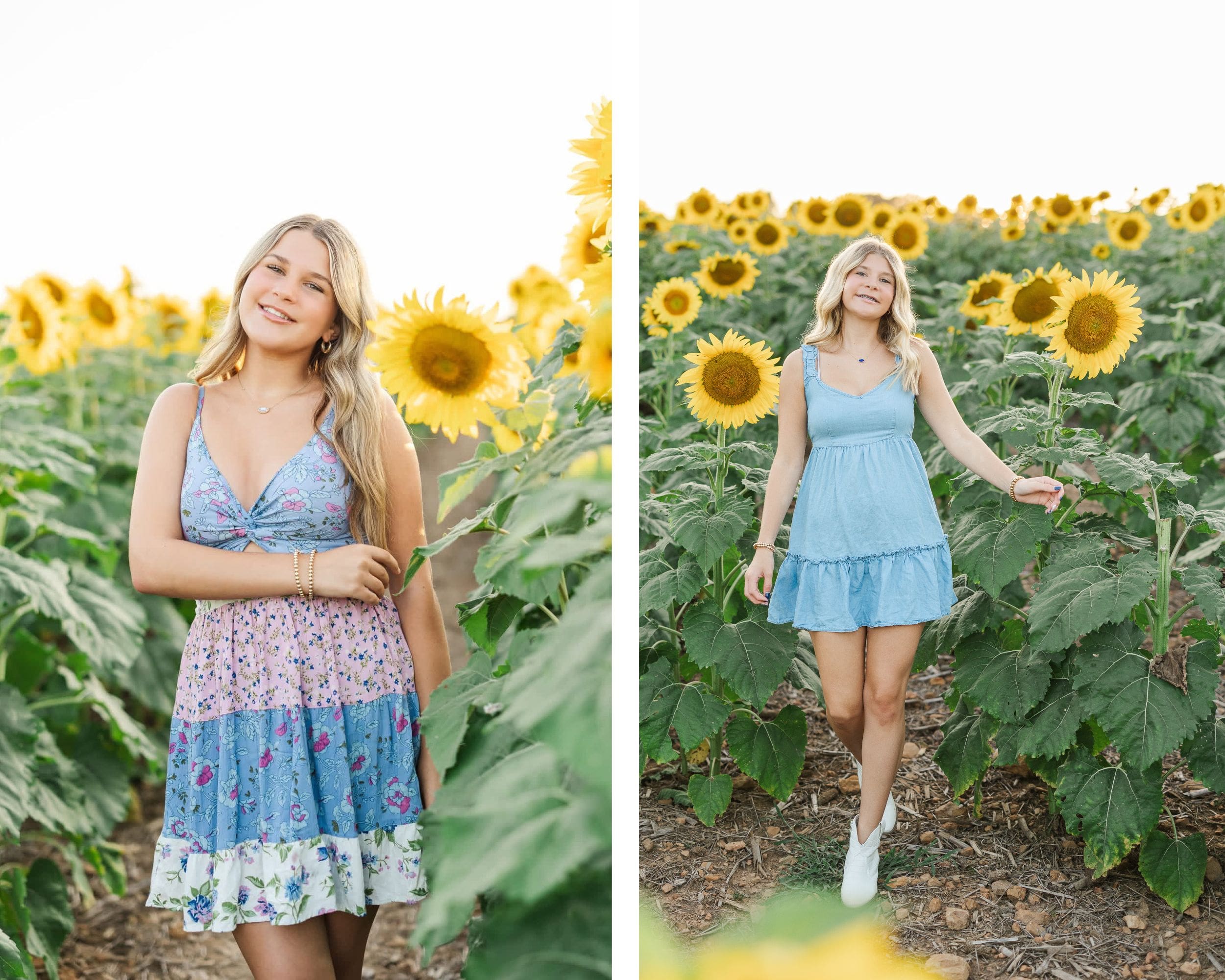 High school senior taking her senior portraits session in sunflower fields at Ruby Branch Farm in southern Kentucky, shot by Jordan Z Photography.
