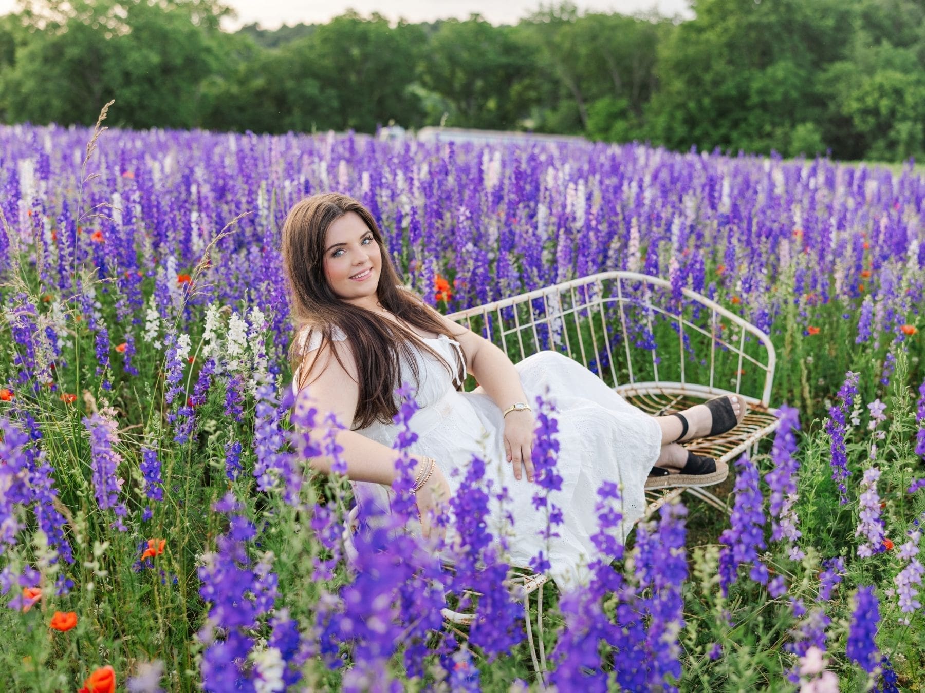 Beautiful high school senior in colorful larkspur fields at River Bend Blooms during sunset in Scottsville Kentucky.